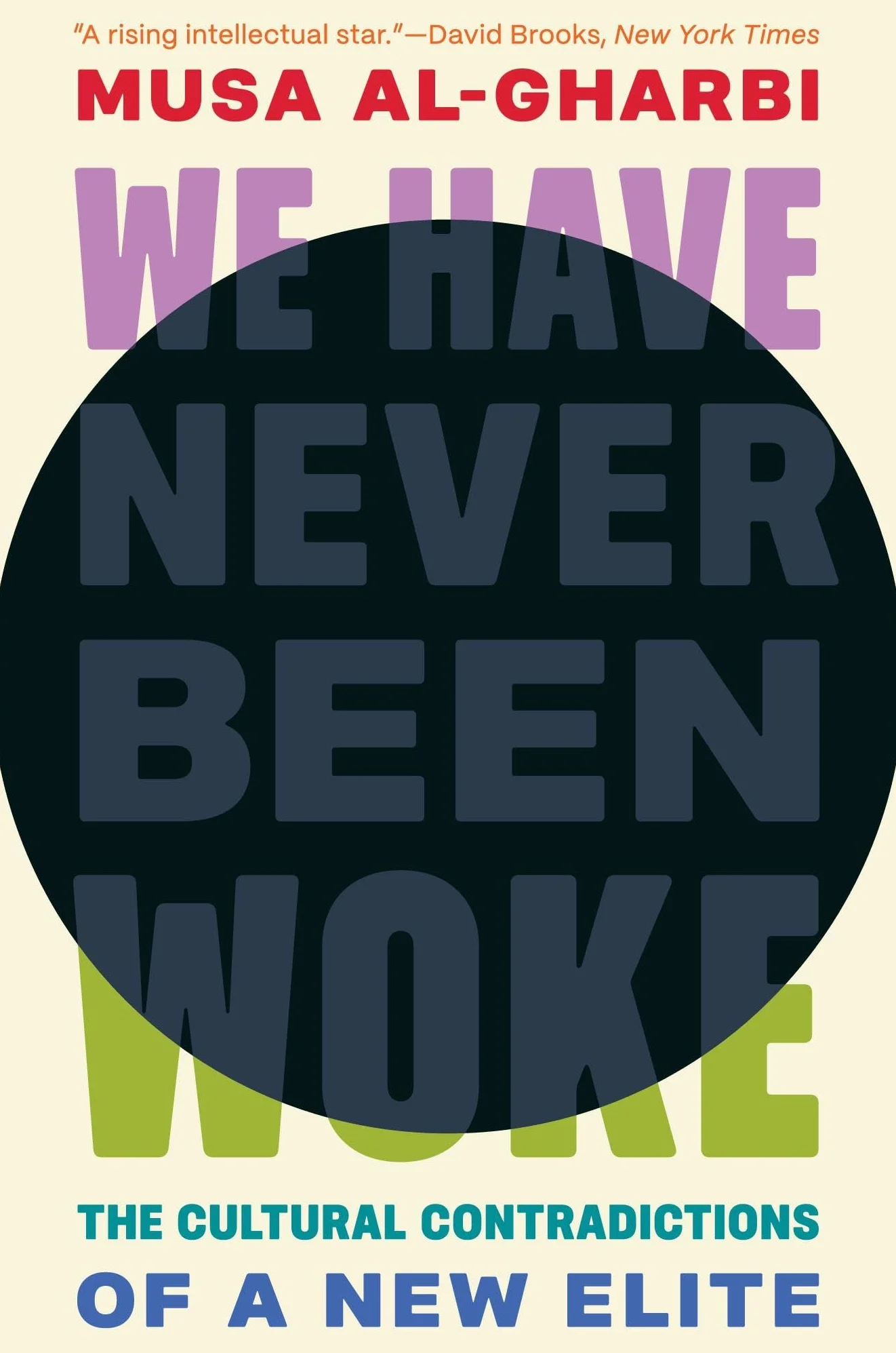 We Have Never Been Woke: The Cultural Contradictions of a New Elite